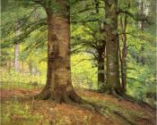 西奥多 克莱门特 斯蒂尔 : Beech Trees